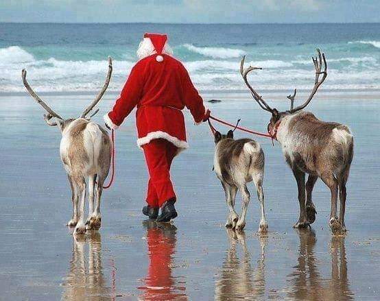 Weihnachten - Rentiere mit Santa am Strand.jpg