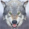 Nebelwolf ✟