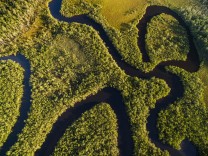 Amazonas Brasilien