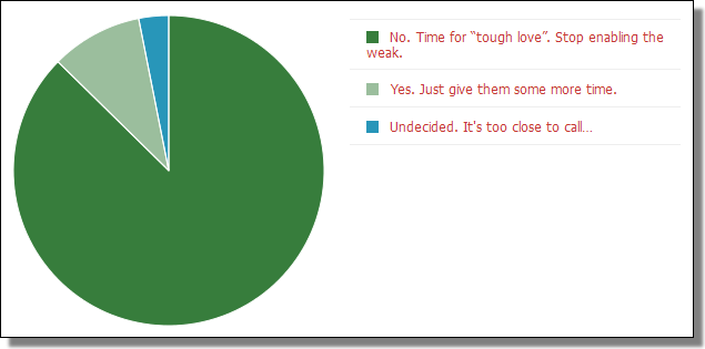 DNSChangerPollChart.png