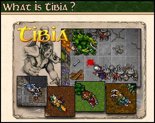 What_is_Tibia.jpg